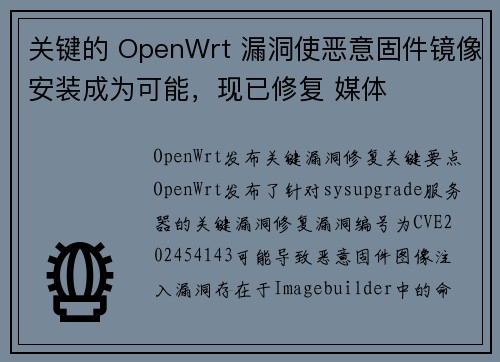 关键的 OpenWrt 漏洞使恶意固件镜像安装成为可能，现已修复 媒体
